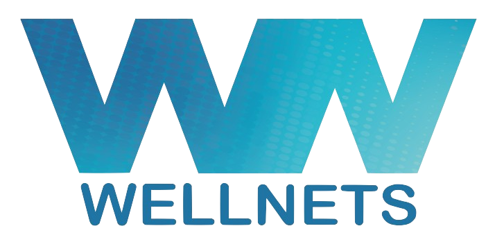 Logotipo de WellNets